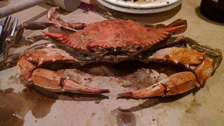 Try our steamed crabs at the River Shack in Maryland