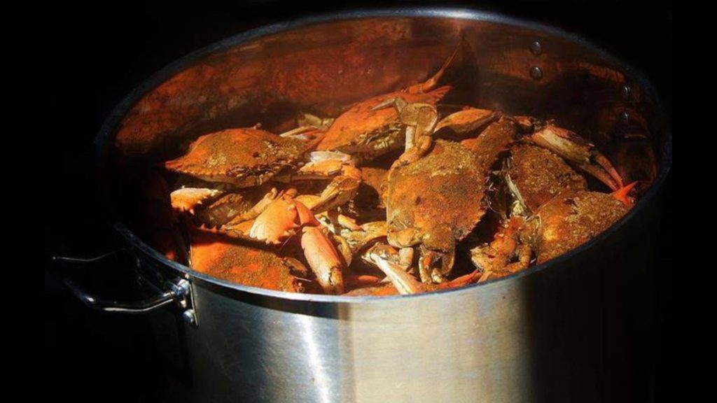 Best Steamed Crabs at the River Shack in Maryland