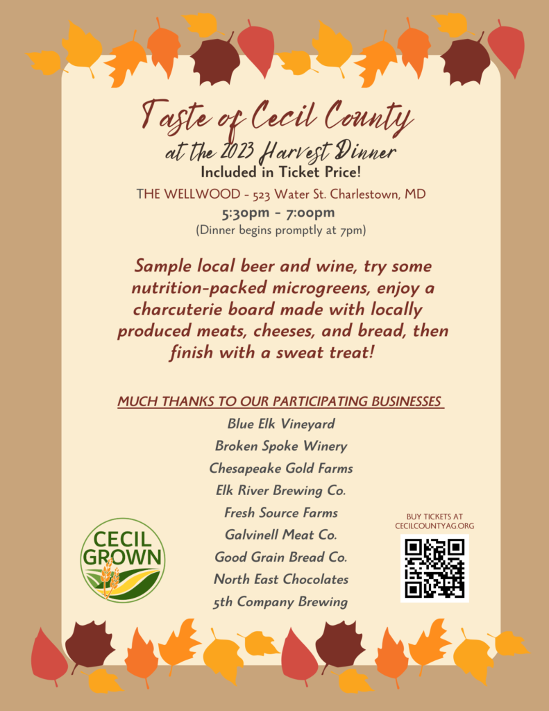 Taste of Cecil County Flyer 2023